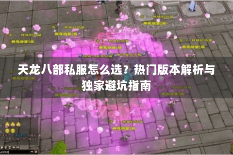 天龙八部私服怎么选？热门版本解析与独家避坑指南