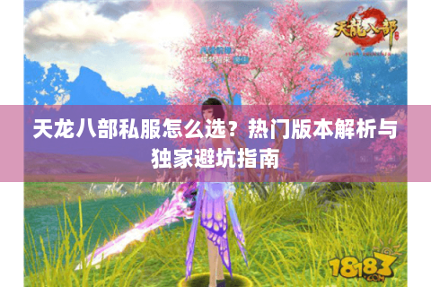 天龙八部私服怎么选？热门版本解析与独家避坑指南