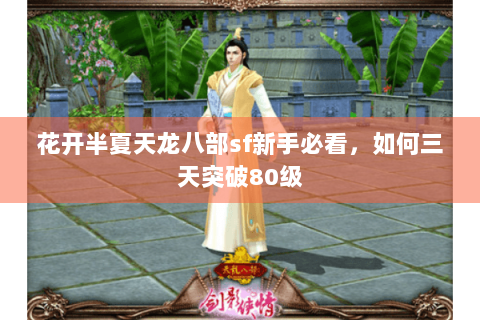 花开半夏天龙八部sf新手必看，如何三天突破80级