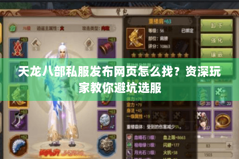 天龙八部私服发布网页怎么找？资深玩家教你避坑选服