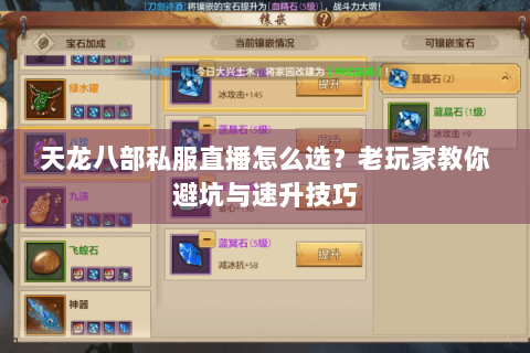 天龙八部私服直播怎么选？老玩家教你避坑与速升技巧