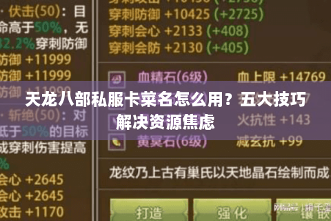 天龙八部私服卡菜名怎么用？五大技巧解决资源焦虑