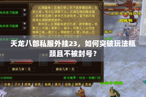 天龙八部私服外挂23，如何突破玩法瓶颈且不被封号？