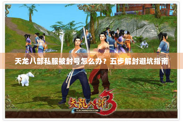 天龙八部私服被封号怎么办？五步解封避坑指南