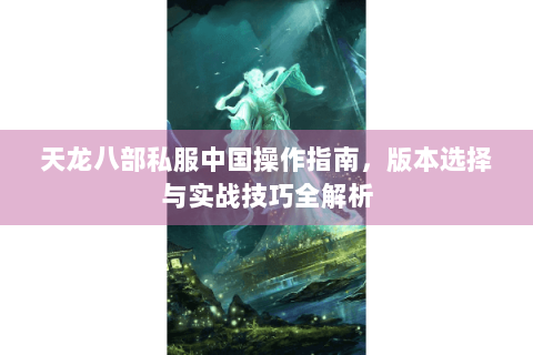 天龙八部私服中国操作指南，版本选择与实战技巧全解析