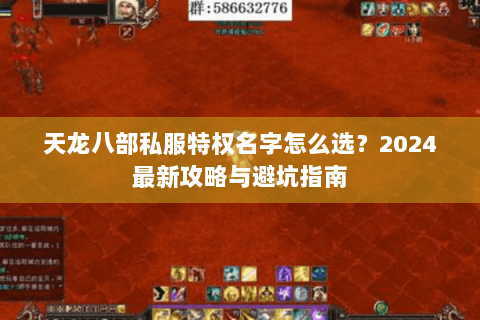 天龙八部私服特权名字怎么选？2024最新攻略与避坑指南