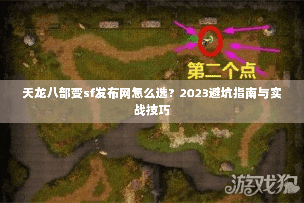天龙八部变sf发布网怎么选？2023避坑指南与实战技巧
