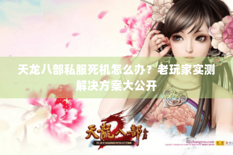 天龙八部私服死机怎么办？老玩家实测解决方案大公开