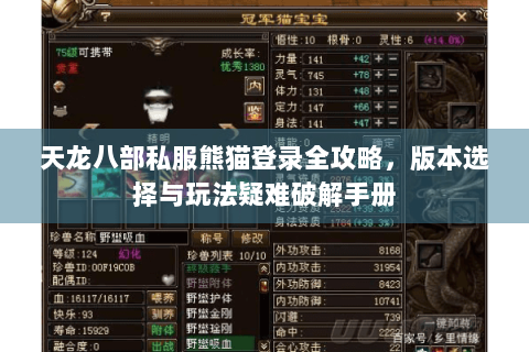 天龙八部私服熊猫登录全攻略，版本选择与玩法疑难破解手册