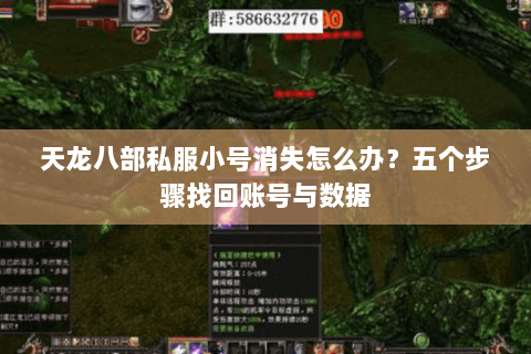 天龙八部私服小号消失怎么办？五个步骤找回账号与数据