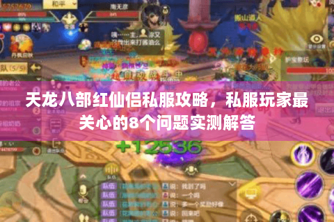 天龙八部红仙侣私服攻略，私服玩家最关心的8个问题实测解答