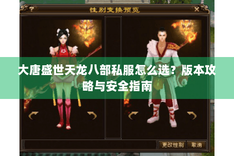 大唐盛世天龙八部私服怎么选？版本攻略与安全指南
