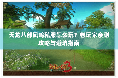 天龙八部凤鸣私服怎么玩？老玩家亲测攻略与避坑指南