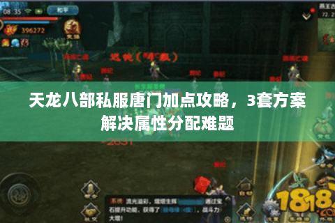天龙八部私服唐门加点攻略，3套方案解决属性分配难题
