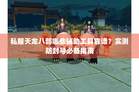 私服天龙八部哪些辅助工具靠谱？实测防封号必备指南