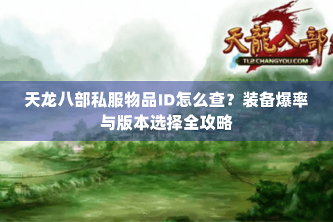 天龙八部私服物品ID怎么查？装备爆率与版本选择全攻略