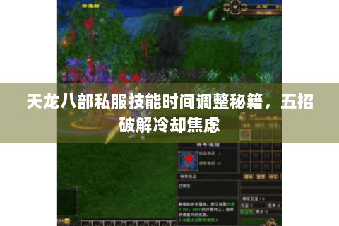 天龙八部私服技能时间调整秘籍，五招破解冷却焦虑