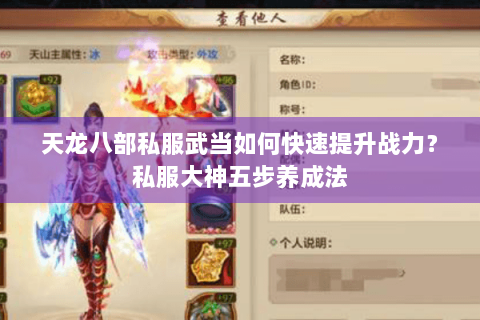 天龙八部私服武当如何快速提升战力？私服大神五步养成法