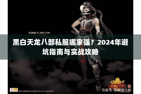 黑白天龙八部私服哪家强？2024年避坑指南与实战攻略