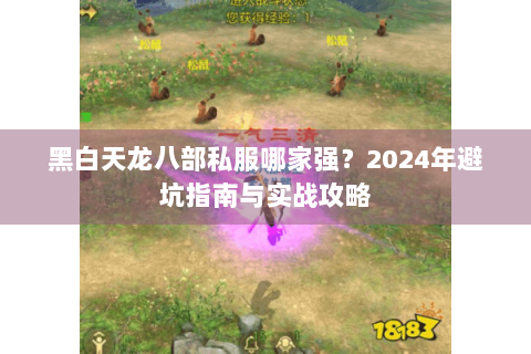 黑白天龙八部私服哪家强？2024年避坑指南与实战攻略