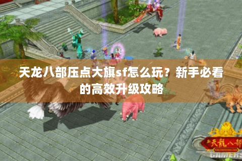 天龙八部压点大旗sf怎么玩？新手必看的高效升级攻略