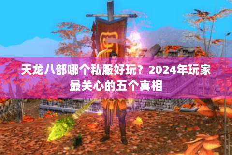 天龙八部哪个私服好玩？2024年玩家最关心的五个真相