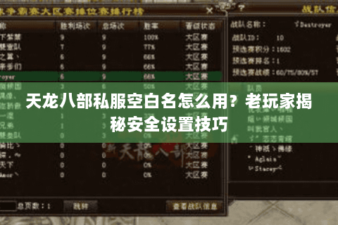 天龙八部私服空白名怎么用？老玩家揭秘安全设置技巧