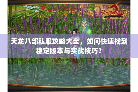 天龙八部私服攻略大全，如何快速找到稳定版本与实战技巧？