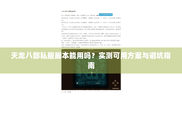 天龙八部私服脚本能用吗？实测可用方案与避坑指南