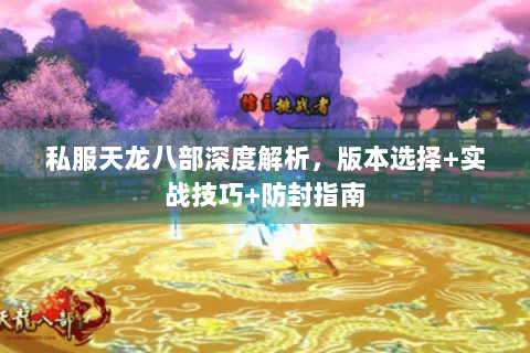 私服天龙八部深度解析，版本选择+实战技巧+防封指南