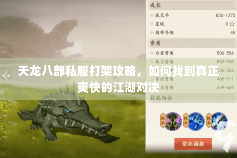 天龙八部私服打架攻略，如何找到真正爽快的江湖对决