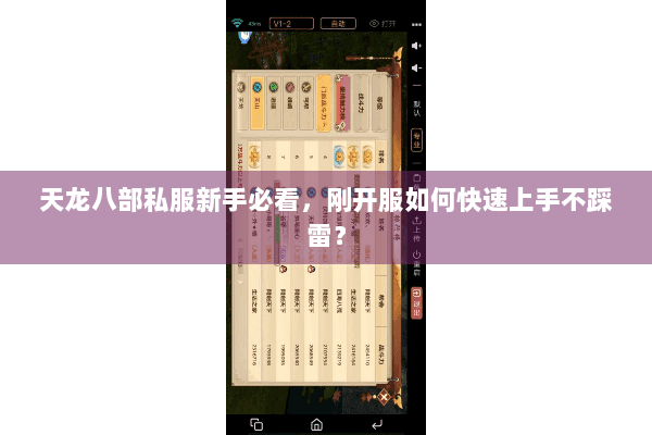 天龙八部私服新手必看，刚开服如何快速上手不踩雷？