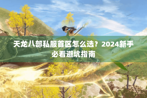 天龙八部私服首区怎么选？2024新手必看避坑指南