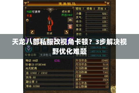 天龙八部私服改视角卡顿？3步解决视野优化难题