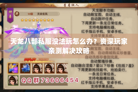 天龙八部私服没法玩怎么办？资深玩家亲测解决攻略