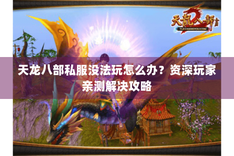 天龙八部私服没法玩怎么办？资深玩家亲测解决攻略