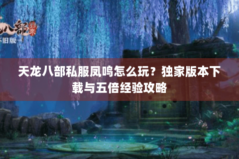 天龙八部私服凤鸣怎么玩？独家版本下载与五倍经验攻略