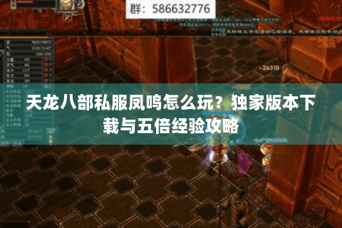天龙八部私服凤鸣怎么玩？独家版本下载与五倍经验攻略