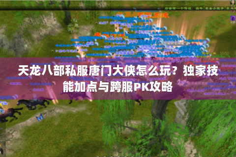 天龙八部私服唐门大侠怎么玩？独家技能加点与跨服PK攻略