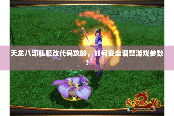 天龙八部私服改代码攻略，如何安全调整游戏参数？