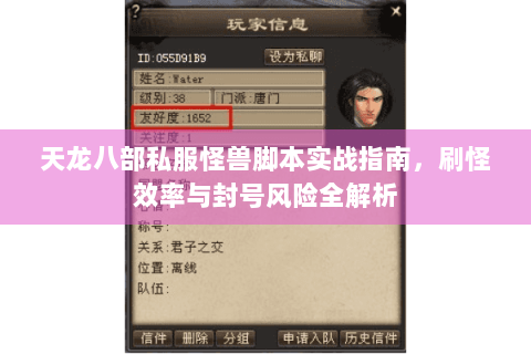 天龙八部私服怪兽脚本实战指南，刷怪效率与封号风险全解析