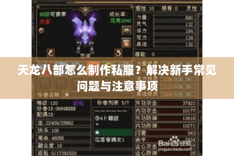 天龙八部怎么制作私服？解决新手常见问题与注意事项