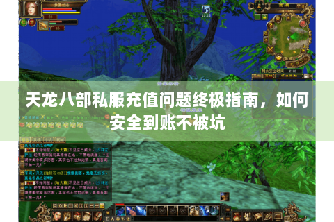 天龙八部私服充值问题终极指南，如何安全到账不被坑