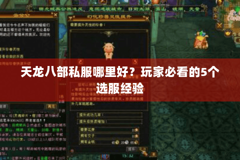 天龙八部私服哪里好？玩家必看的5个选服经验