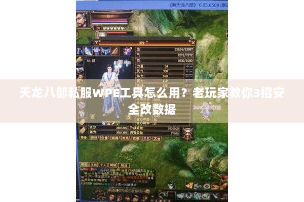 天龙八部私服WPE工具怎么用？老玩家教你3招安全改数据