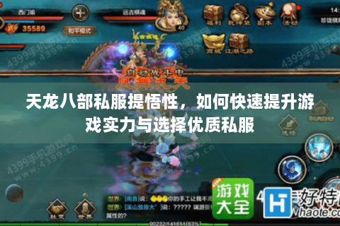天龙八部私服提悟性，如何快速提升游戏实力与选择优质私服