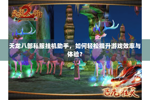 天龙八部私服挂机助手，如何轻松提升游戏效率与体验？