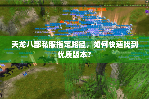 天龙八部私服指定路径，如何快速找到优质版本？