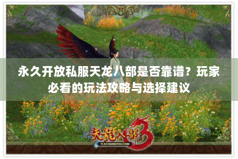 永久开放私服天龙八部是否靠谱？玩家必看的玩法攻略与选择建议