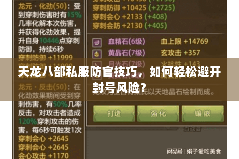 天龙八部私服防官技巧，如何轻松避开封号风险？